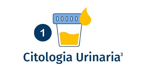 citologia urinaria