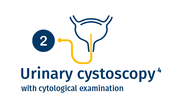 urinary cystoscopy